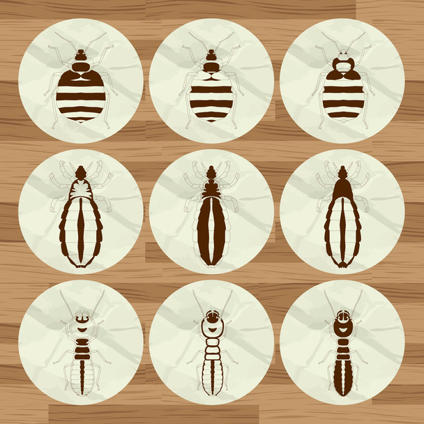 Insect background - Vetor, Imagem
