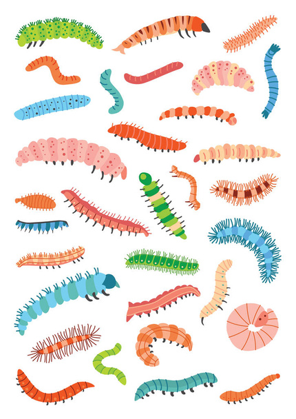 A Set of different colorful cartoon caterpillars - Vector, Image