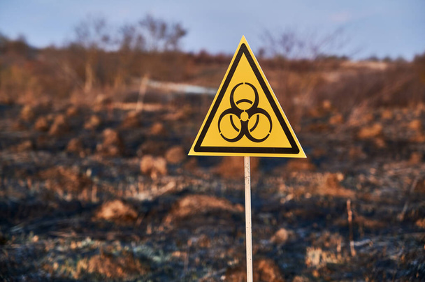 Horizontal snapshot of yellow biohazard sign installed in scorched field with burnt anthills on a blurred background. Concept of ecology and burned earth. - Photo, Image