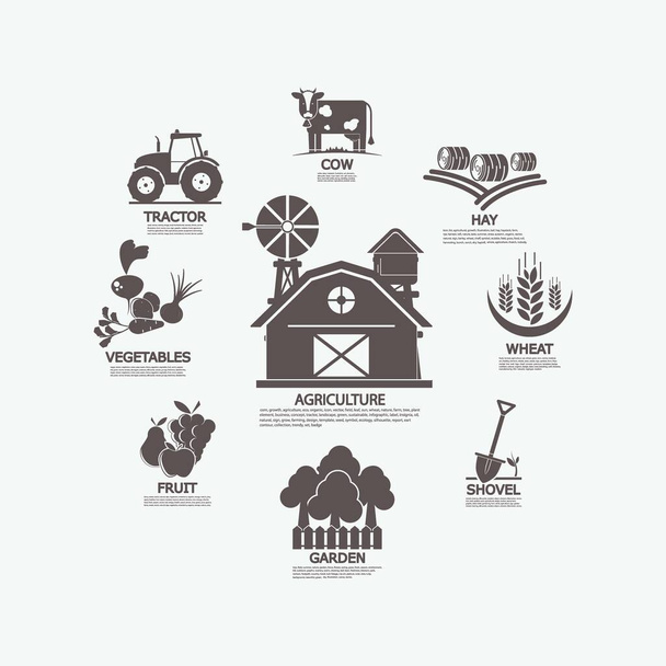 Icons agriculture, vector illustration - Photo, Image