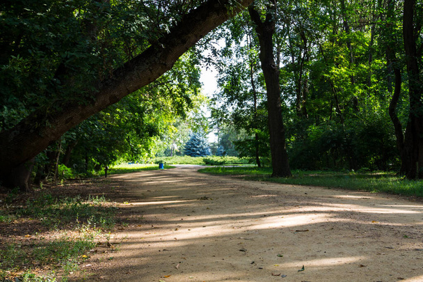 Chemin de randonnée dans un parc verdoyant
 - Photo, image
