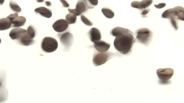 4k Смажені кавові зерна падають на білому фоні-дан
 - Кадри, відео