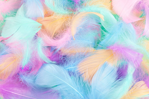 Colorful feather on mint background, top view.  - Foto, Bild