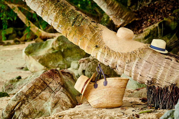 セーシェルのMaheにあるヤシの木によるビーチバッグと帽子. - 写真・画像