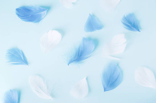 Blue and white feathers pattern on blue background with soft vintage tone - Foto, Bild