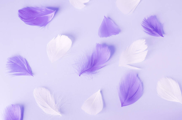 Purple and white feathers pattern on purple background with soft vintage tone - Foto, Bild