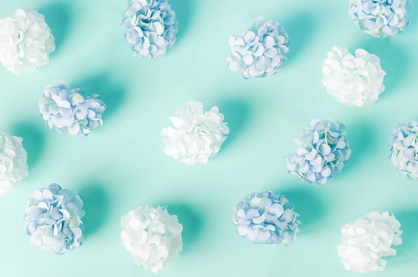 Blue and white Hydrangea flowers pattern on blue background - Fotografie, Obrázek