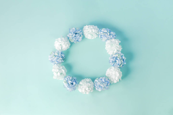 White and blue color of Hydrangea flowers with round frame shape on blue background - Фото, изображение