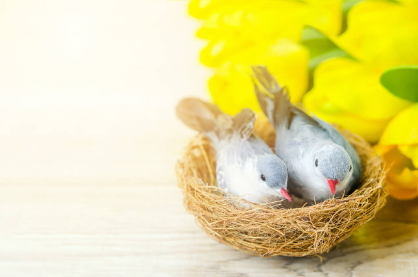 Close up of artificial couple birds with natural nest and yellow tulip flowers on white wooden table with sunlight - Valokuva, kuva