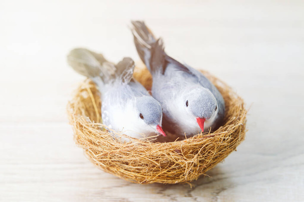 Close up of couple artificial birds with nest on wooden background with vintage and sunlight tone - Valokuva, kuva