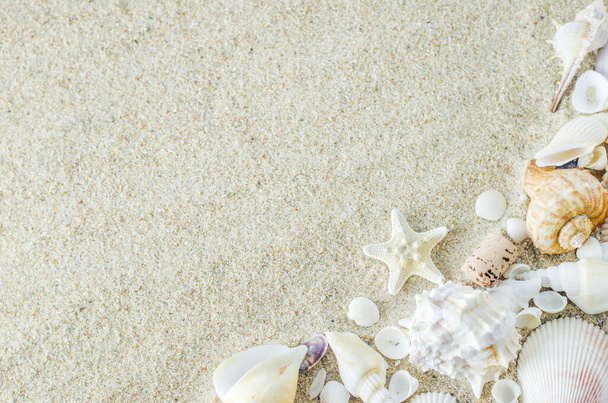 Beach and Summer background - Close up of starfish and seashells on white sand background with white coarse sand - Fotoğraf, Görsel