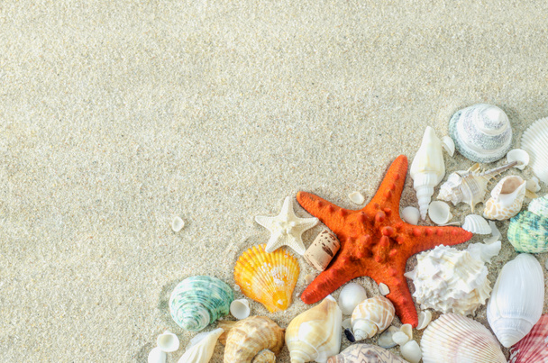 Fondo de playa y verano: primer plano de estrellas de mar y conchas sobre fondo de arena blanca con arena gruesa blanca
 - Foto, imagen