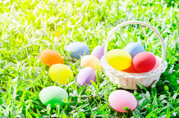 Colorful Easter eggs in basket on green meadow grass with sunny light, Easter background - Valokuva, kuva