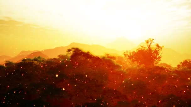 緑豊かなジャングルの上を炎が飛ぶ素晴らしい光沢のある夕日3Dアニメーション - 映像、動画