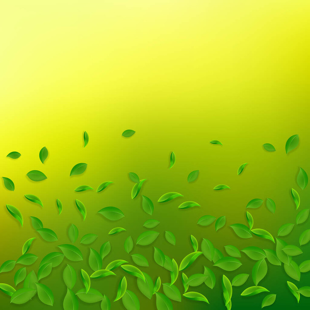 Foglie verdi cadenti. Foglie caotiche di tè fresco volare - Vettoriali, immagini