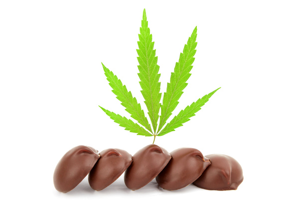 Suklaa makeita karkkeja, jotka sisältävät kannabista CBD kannabidiolia vihreällä marihuanan lehdellä valkoisella eristetyllä taustalla. Karkkia, johon on lisätty lääkekannabiksen CBD tai THC
 - Valokuva, kuva