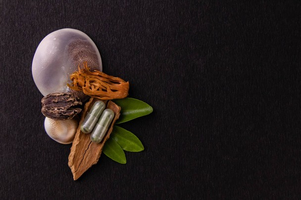 Dwie ziołowe kapsułki, aromatyczne przyprawy i zioła na muszli ślimaka morskiego z przestrzenią do kopiowania. Koncepcja ajurwedy - Zdjęcie, obraz