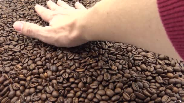 Kavrulmuş kahve çekirdekli 4k Hand. Kahveyi hazırlamak için taze malzeme. - Video, Çekim
