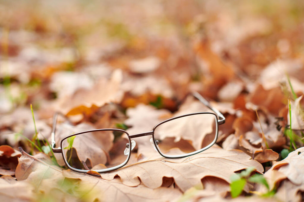 Gläser auf Herbstlaub. Brillenverlust als Symbol für plötzlichen Sehverlust. Vitaminmangel im Alter. - Foto, Bild