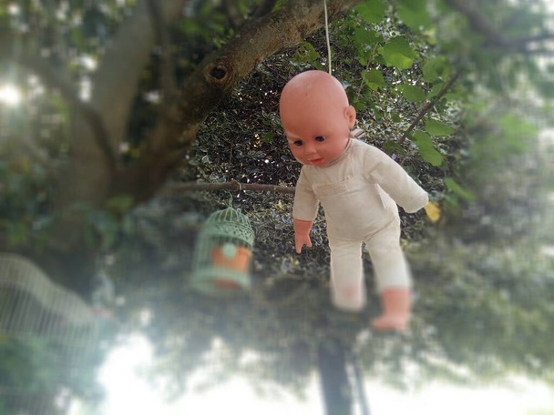 Eine beängstigend verstümmelte Puppe, die über einem Baum hing - Foto, Bild