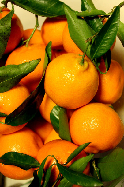 Krásné mandarinky se zelenými listy. Šťavnaté ovoce close up fotografie.  - Fotografie, Obrázek