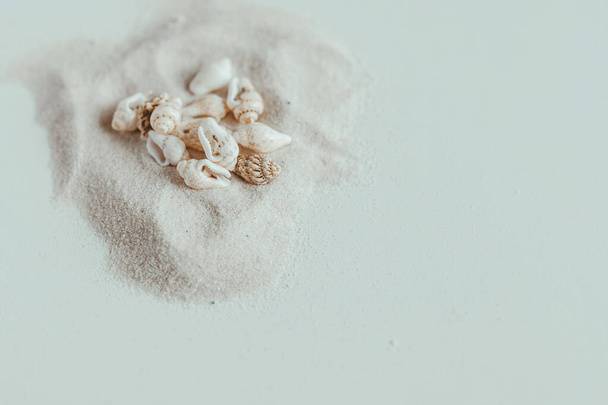 A group of small sea shells on white beach sand close-up. Decor concept. Natural summer background with fine white sand. Selective focus. Marine theme. - Foto, afbeelding