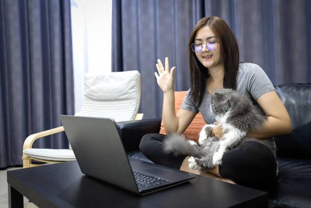 Azjatka wita przyjaciół przez wideo telefon i nosi szarego kota. Praca koncepcyjna z domu z ukochanym zwierzakiem. - Zdjęcie, obraz