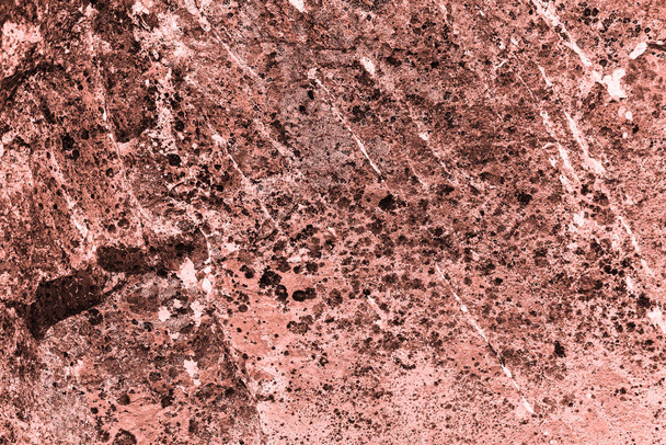 Vintage pink background. Rough painted wall of living coral color. Imperfect plane of beige colored. Uneven old decorative toned backdrop of beige tint. Texture of pink hue. Ornamental stony surface. - 写真・画像
