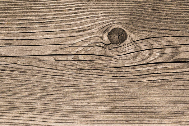 Fondo y textura de madera de alerce siberiano envejecida con nudos
 - Foto, imagen