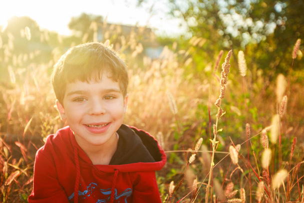 Portrait d'un garçon de cinq ans au coucher du soleil dans le champ entre les oreilles sèches
 - Photo, image