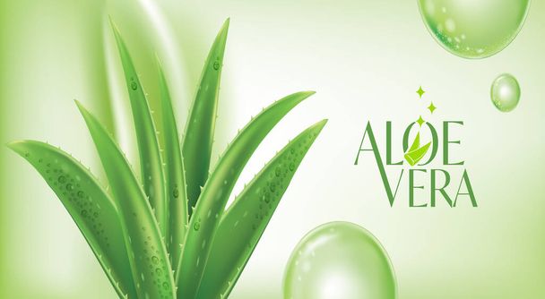 Aloe Vera collagène sérum soin de la peau cosmétique
. - Vecteur, image