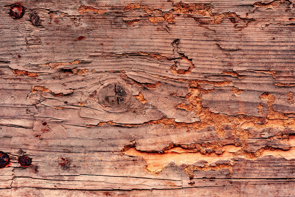 Texture, bois, mur, il peut être utilisé comme fond. Texture en bois avec rayures et fissures - Photo, image