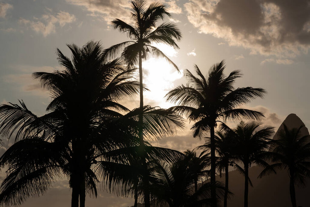 Siluetas de palmeras con Dois Irmaos al fondo
 - Foto, imagen