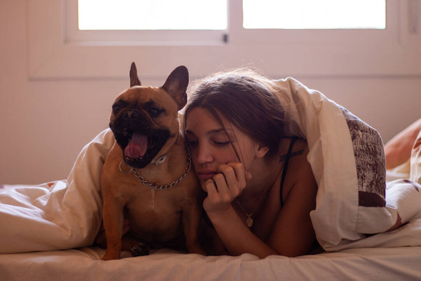 Sexy woman with french bulldog while laying inside a bed - Fotografie, Obrázek