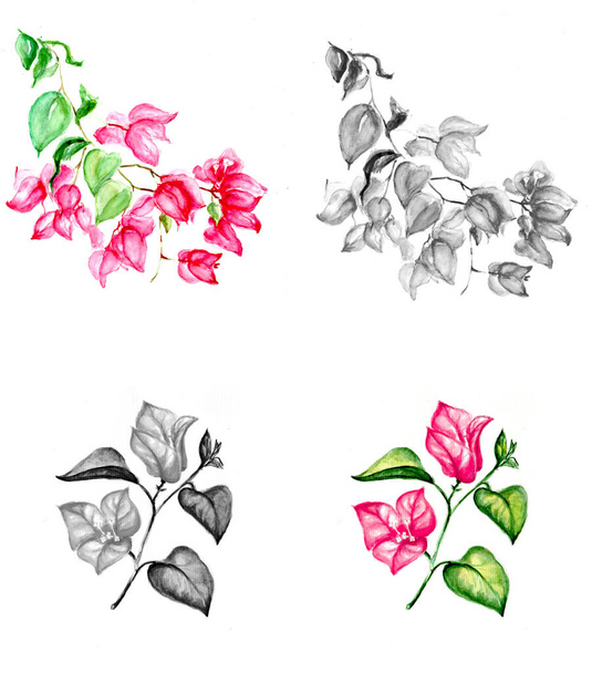 Aquarelle painting of flower sketch art illustration - Foto, Bild