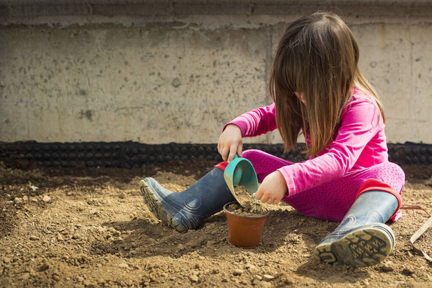 Маленькая кавказская девочка, в своем саду, наполняла горшок сенсацией во время блокировки ковида-19. Активность идеи на открытом воздухе для детей дома в пандемических ограничениях. Копировальное пространство слева
. - Фото, изображение