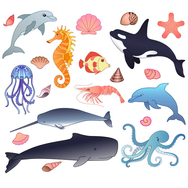 Animals of the underwater world. Big vector set of full-color sea inhabitants. Set of pictures with sperm whale, narwhal, killer whale, shrimp, fish, shells and many others in a cartoon style. - ベクター画像