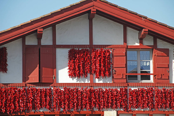 Červená paprika visící v Espelette - Fotografie, Obrázek