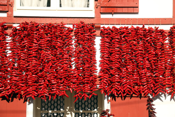 Punapaprikat roikkuvat Espelettessä - Valokuva, kuva