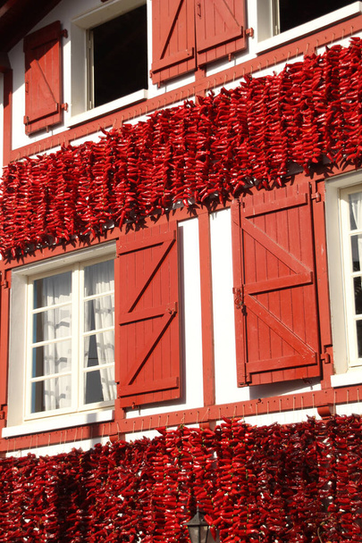Червоний перець звисає в Іспанії - Фото, зображення