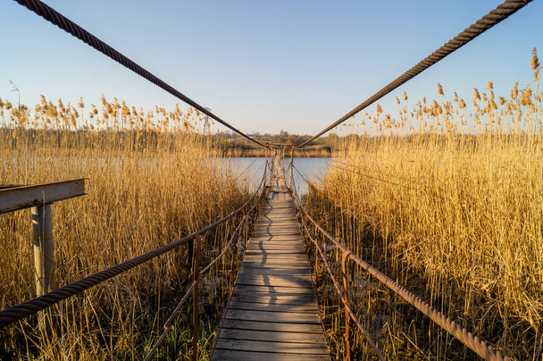 Металлический мост через тростник. Озеро и тростник
 - Фото, изображение