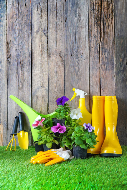 Garden tools and flowers in pots for planting on the green artificial grass. - Фото, зображення