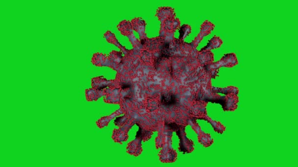 アニメーションコロナウイルス分子。アルファチャンネル - 映像、動画