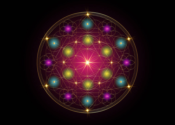 Semena života symbol posvátné geometrie. Geometrická mystická indická mandala alchymie esoterický květ života. Gold luxusní design, vektor božské meditativní tibetský amulet izolované na černém pozadí - Vektor, obrázek