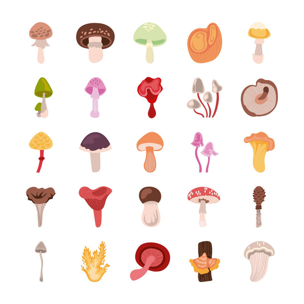 paquete de iconos conjunto de hongos
 - Vector, imagen