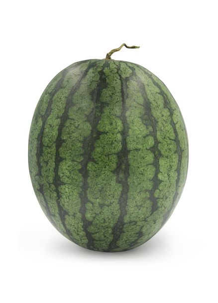 Čerstvý organický celý vodní meloun na bílém izolovaném pozadí se svislou cestou stříhání. Zralý červený meloun má sladkou chuť a je šťavnatý pro osvěžení v létě. Lahodný koncept čerstvého ovoce - Fotografie, Obrázek