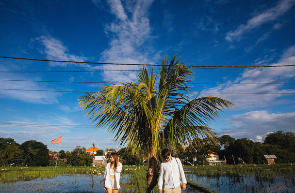 pari rakastunut halauksia ja pitää hauskaa romanttinen kävellä eksoottinen saari Bali Indonesiassa lähellä palmuja
 - Valokuva, kuva