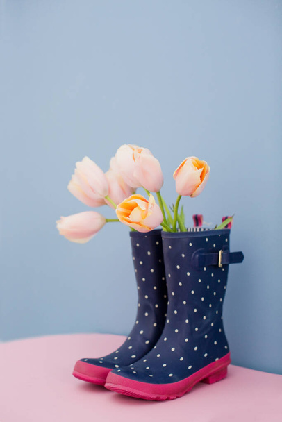 Ramo de tulipanes rosados en botas de goma azul sobre fondo azul
 - Foto, imagen
