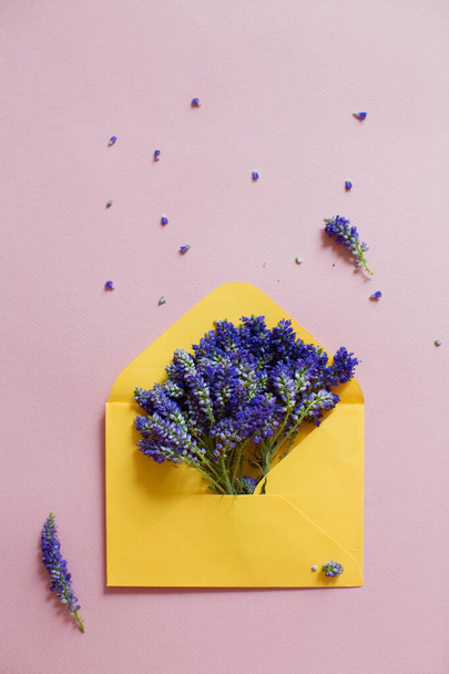 Żółta koperta z fioletowym kwiatem veronica wewnątrz na różowym tle - Zdjęcie, obraz