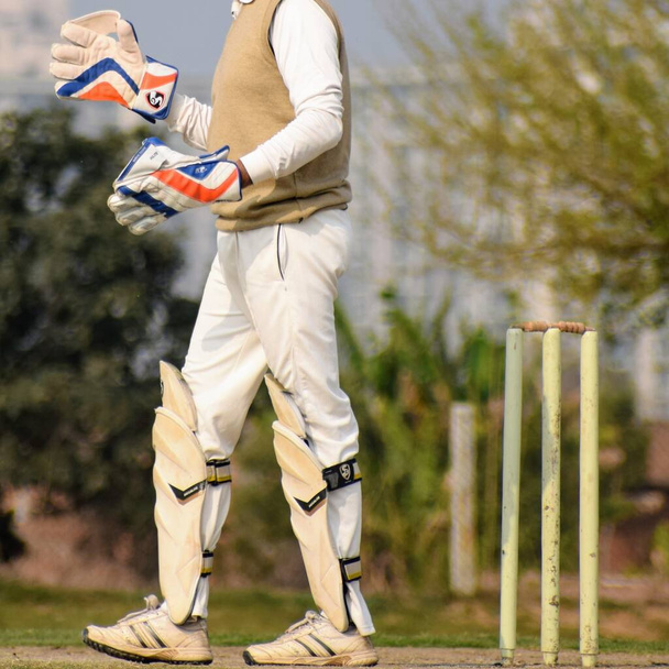 Volle Länge des Cricketspiels auf dem Feld an sonnigen Tagen, Cricketspiel auf dem Feld in Aktion, Cricketspieler spielen Cricketspiel auf dem Feld - Foto, Bild